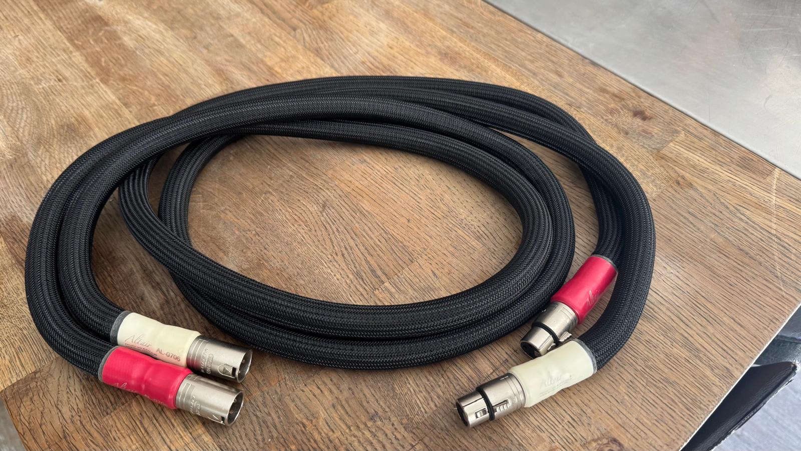 Shunyata Research Altair XLR 1