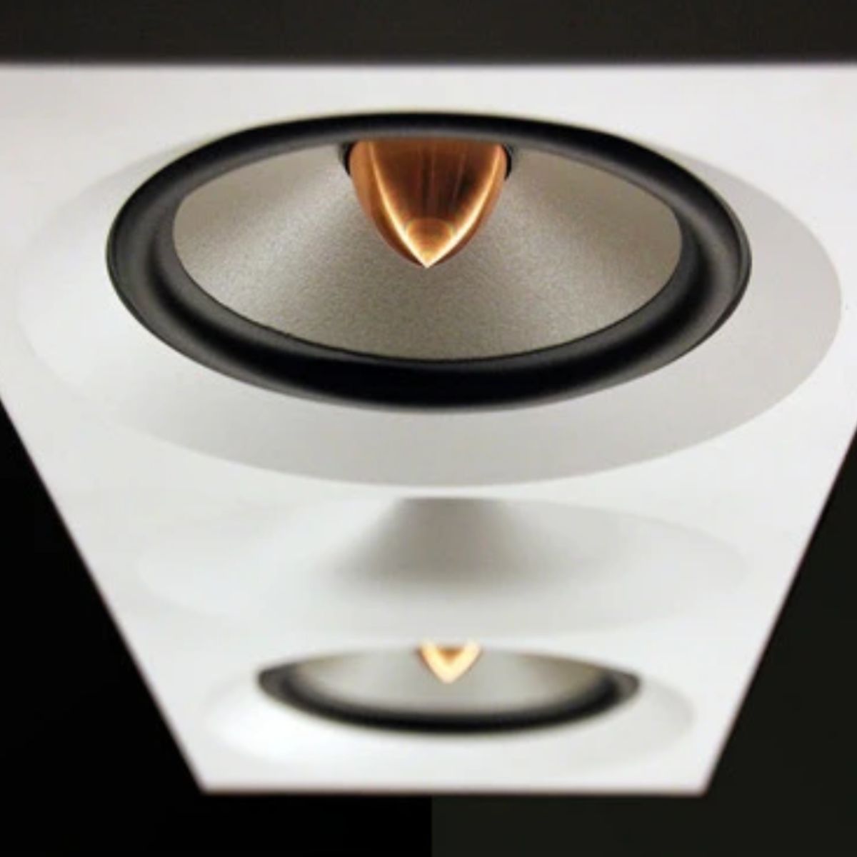 Thrax Lyra SE Monitors (pair)