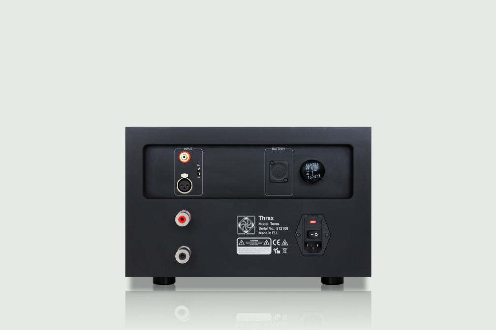 Thrax Teres Mono MkII : amplificateur de puissance mono hybride 250 W
