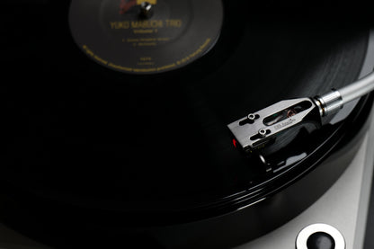 DS Audio - DS W3