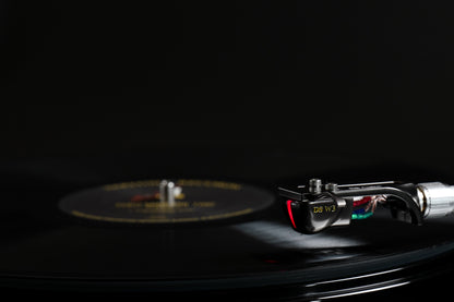 DS Audio - DS W3