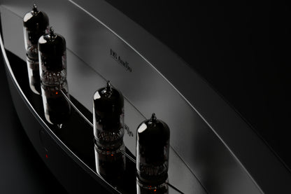 DS Audio - TB100 Tube Phono Equalizer