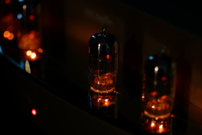DS Audio - TB100 Tube Phono Equalizer