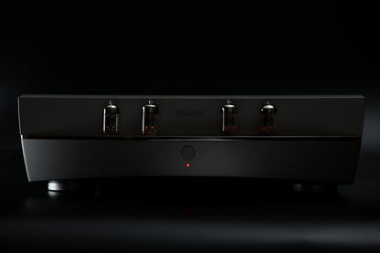 DS Audio - TB100 Tube Phono Equalizer