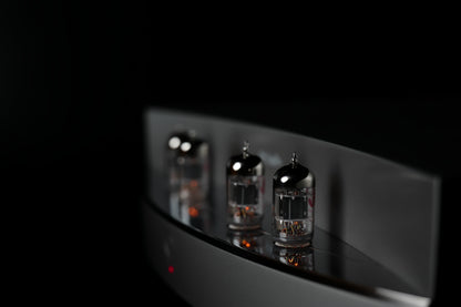 DS Audio - TB100 Tube Phono Equalizer