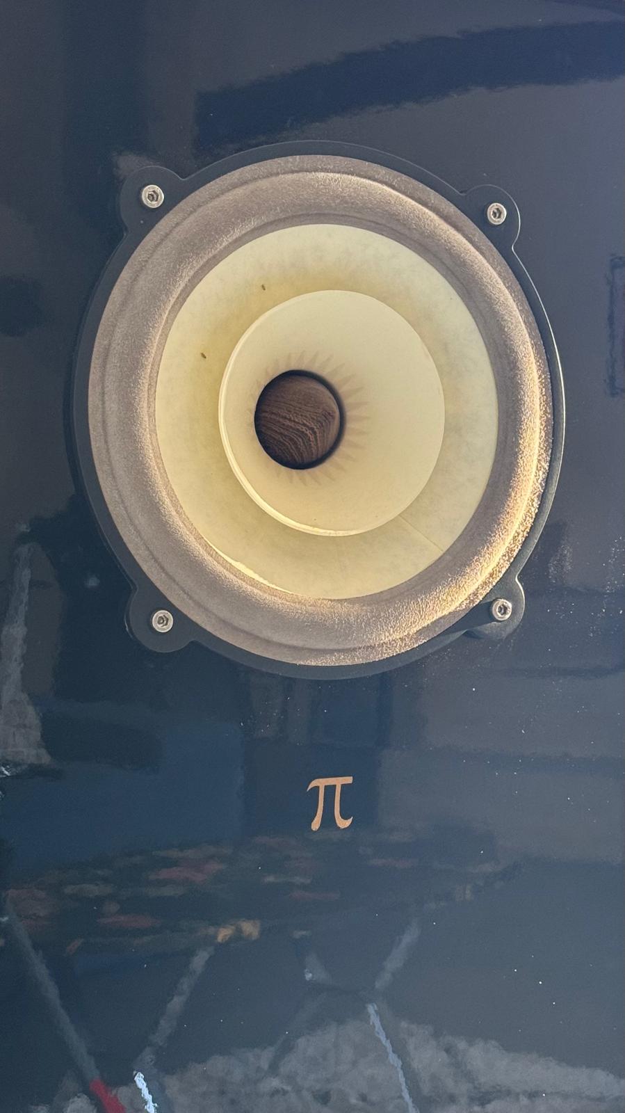 Voxativ 9.87 AC-4A speaker detail